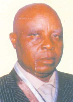 Engr. V. I. O. Ogbeide (FNSE, FNIStructE)