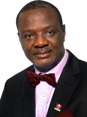 Engr. Eddy Atumonyogo (FNSE, FNIStructE)